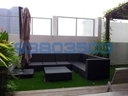 One Tree Hill Residence (D10), Apartment #91564202